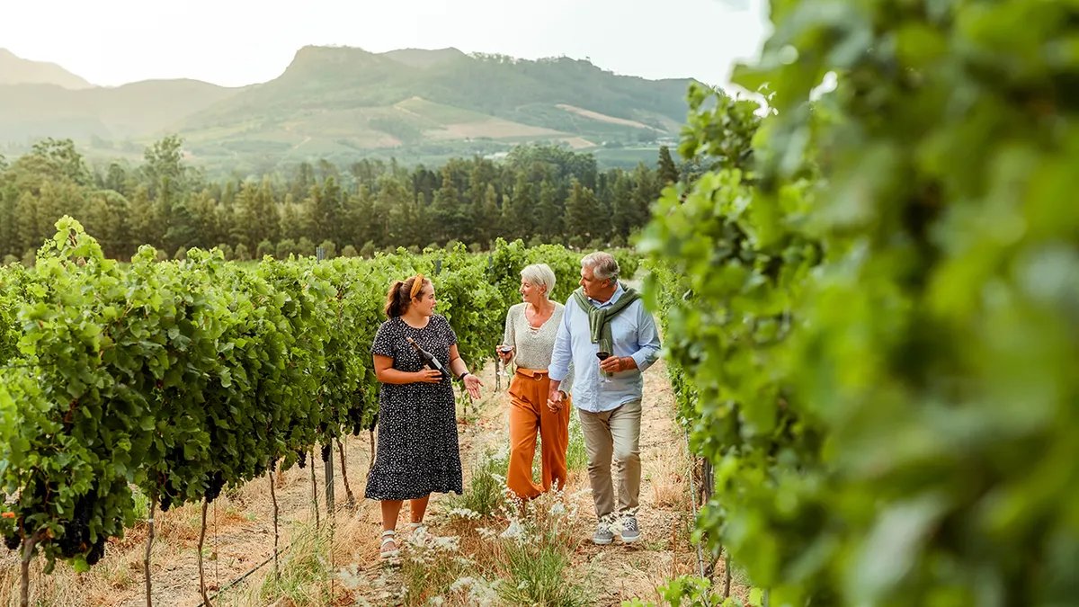 The Savaryn family, owners of Sovereign Estate, standing among their vines, embodying their faith-based winemaking philosophy.