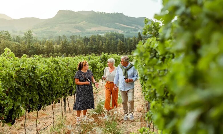 Vineyard owners use Gospel of John metaphor to guide winemaking philosophy