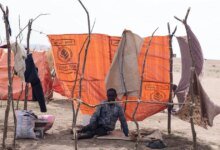 Satellite Images Suggest Evidence Of Mass Burials Ongoing In Sudan's El-Fasher