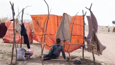 Satellite Images Suggest Evidence Of Mass Burials Ongoing In Sudan's El-Fasher