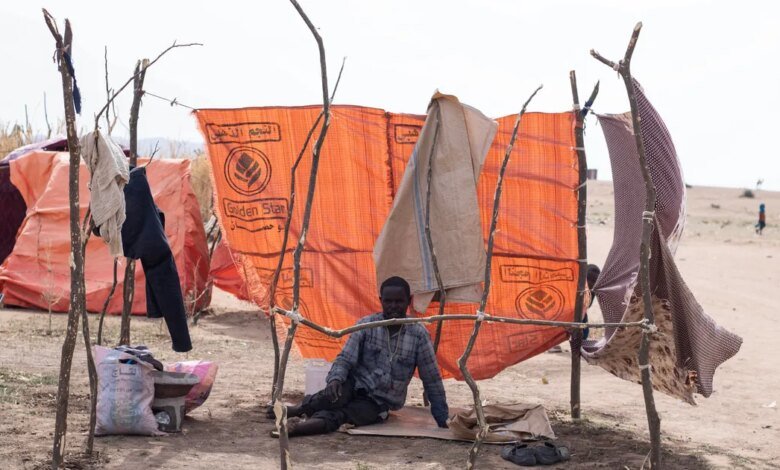 Satellite Images Suggest Evidence Of Mass Burials Ongoing In Sudan's El-Fasher