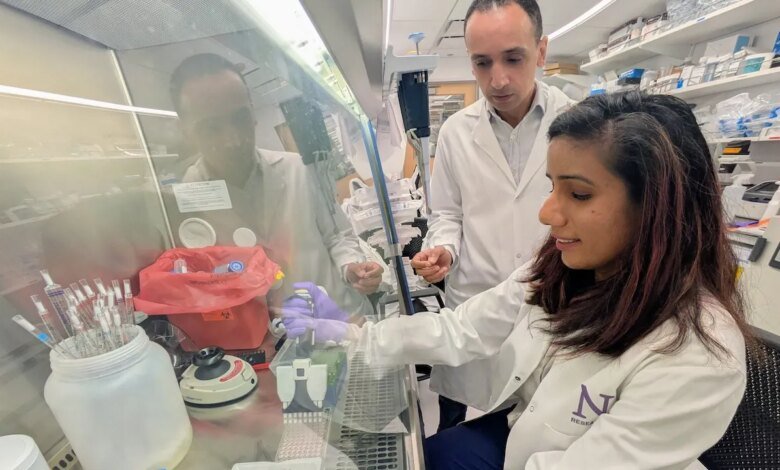 New pancreatic cancer treatment ‘wakes up’ immune cells, researchers say