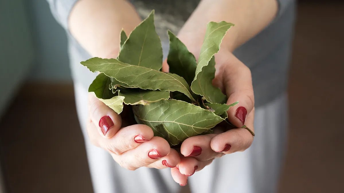 Chef preparing food in a clean and organized kitchen