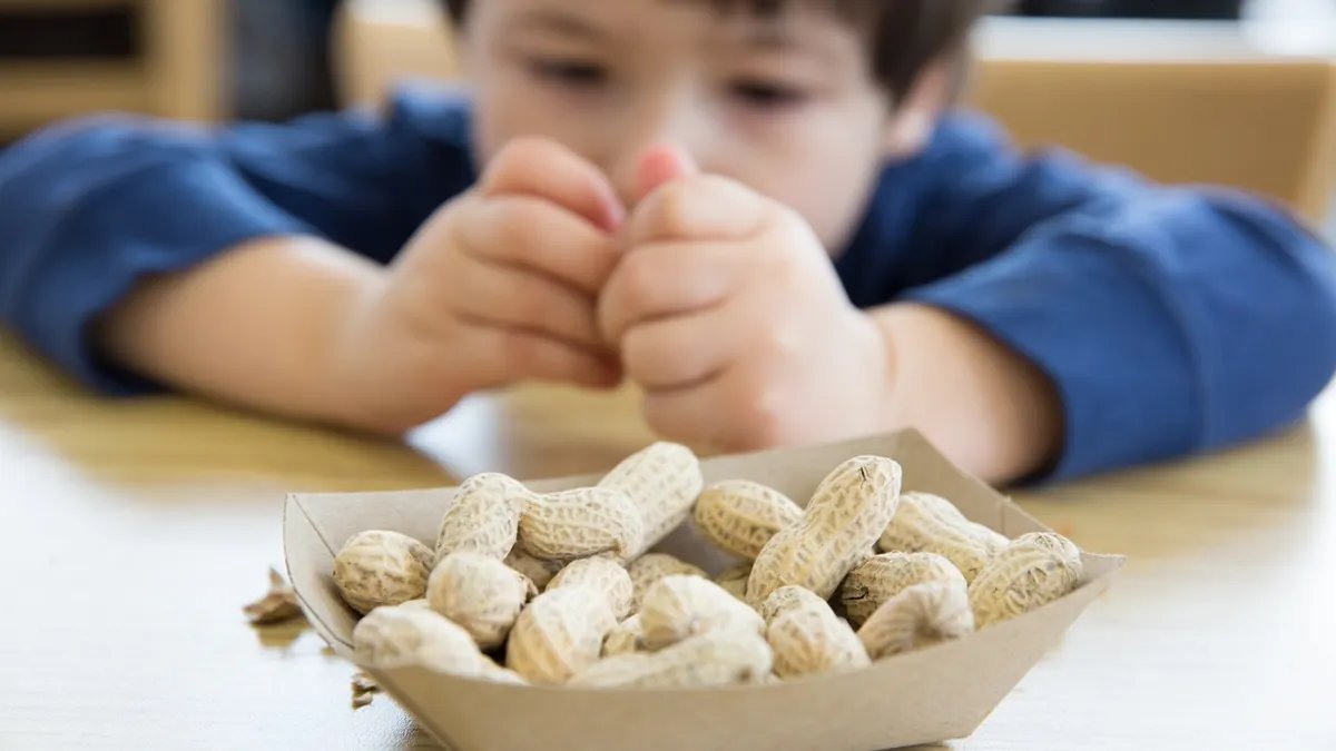 Scientists researching food allergies in a lab