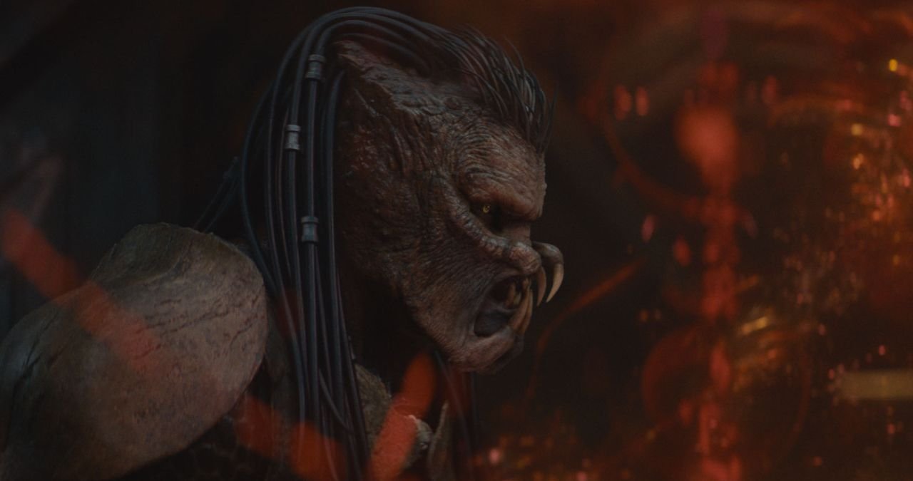 A Predator overlooking a vast, unknown landscape, symbolizing future possibilities.