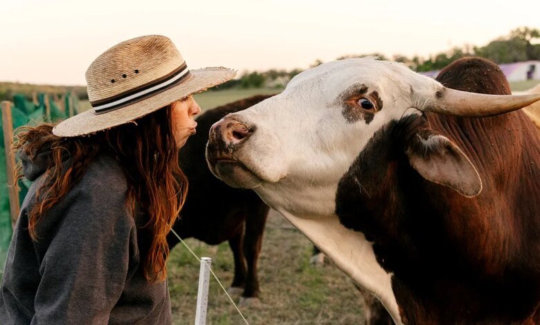 'My whole life was a lie': Former vegan chef sinks her teeth into cattle ranching