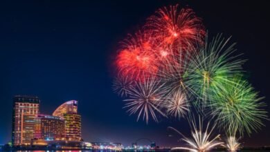National Day 2025: When and where to watch fireworks in Dubai and Abu Dhabi