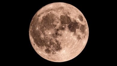 Moon phase today explained: What the moon will look like on November 16, 2025
