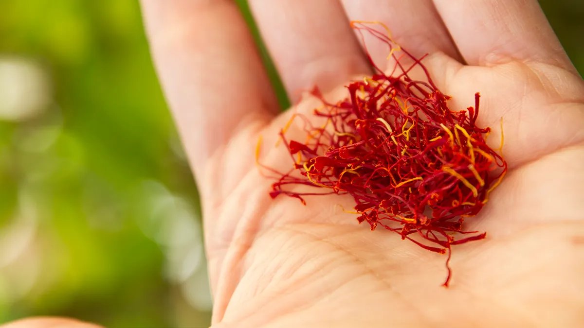 A person looking thoughtfully out a window, representing a shift in mood and mental clarity.