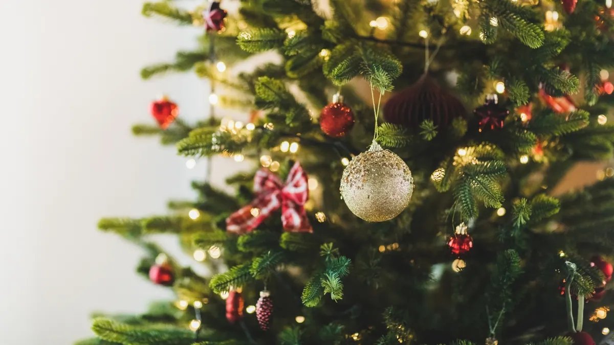 A close-up shot of various colorful Christmas ornaments hanging on a Christmas tree.