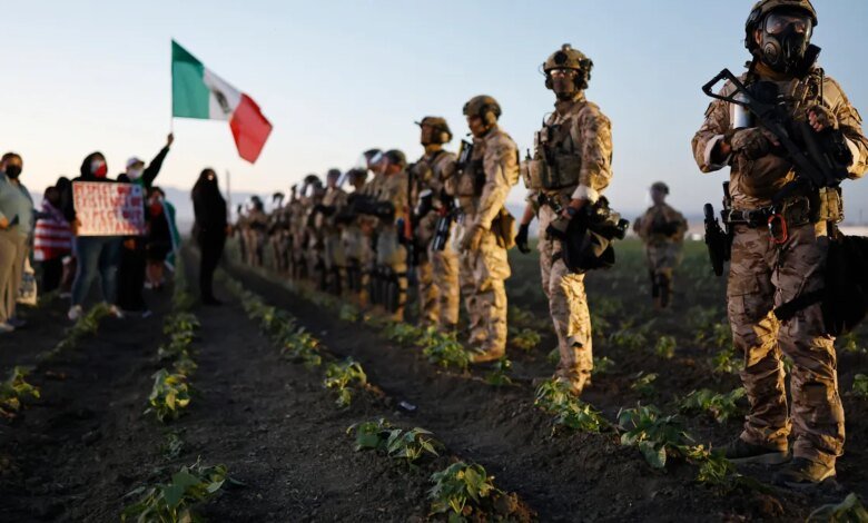 Employers often avoid charges for hiring undocumented workers. How?