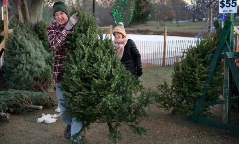 'Too early for Christmas'? Americans clash as stores push holiday tree sales