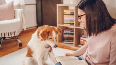 Top 10 dog and cat names based on book characters trending in 2025