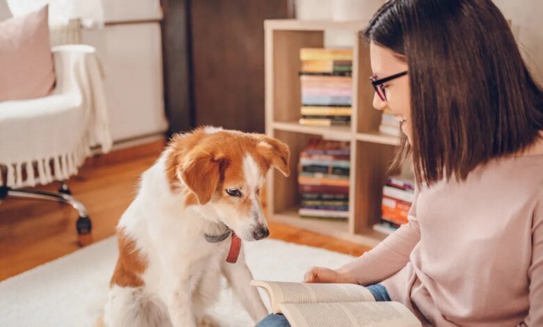 Top 10 dog and cat names based on book characters trending in 2025