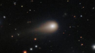 3I/ATLAS backlash: Oxford astrophysicist Jake Taylor defends NASA’s much-mocked HiRISE image of the interstellar comet