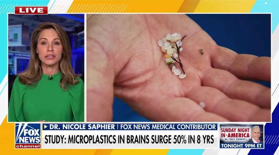 Scientific illustration of brain neurons and amyloid plaques, representing Alzheimer's pathology.