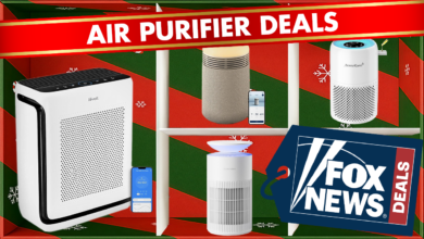 Best Black Friday air purifier deals – Up to $200 off Dyson, Levoit and more top picks