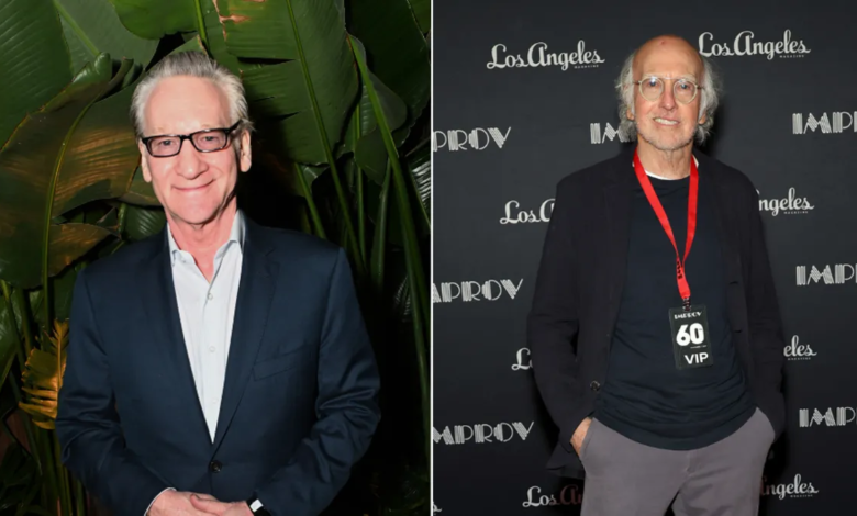Bill Maher takes swipe at Larry David over Trump meeting