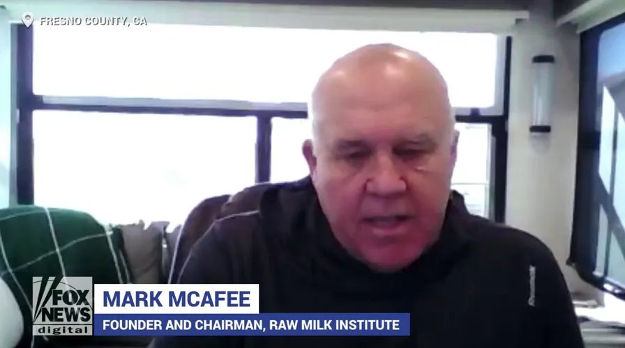 A close-up of cottage cheese being blended into a sauce, highlighting a popular dairy hack.