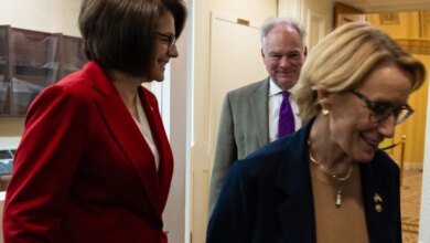 Democrats attack each other over deal to end government shutdown