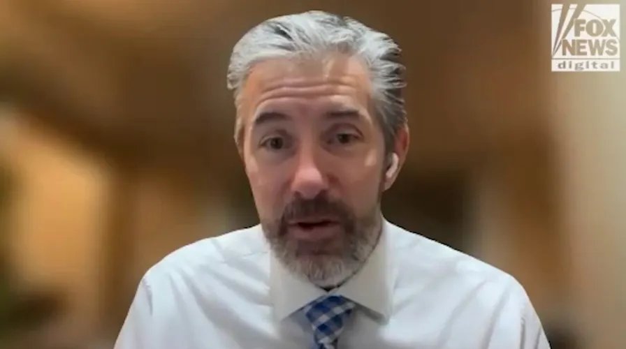 A close-up of a golden retriever, a common breed for diabetes alert dogs.