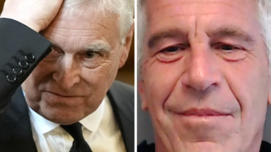 Epstein emails suggest Prince Andrew investigation