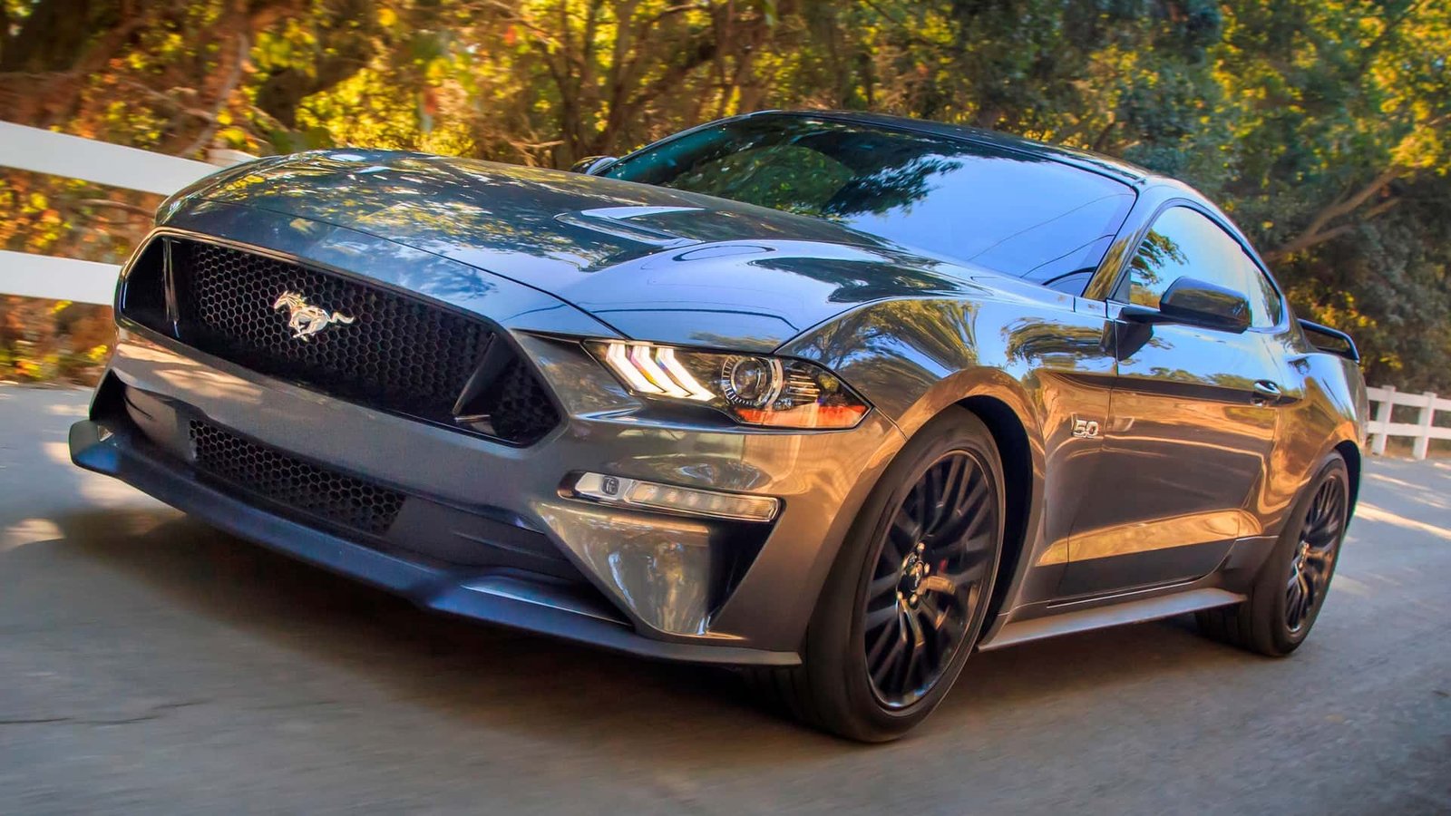 Ford vehicles affected by the rearview camera recall