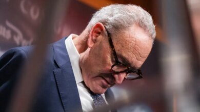 Furious Democrats rip shutdown deal as missing the moment