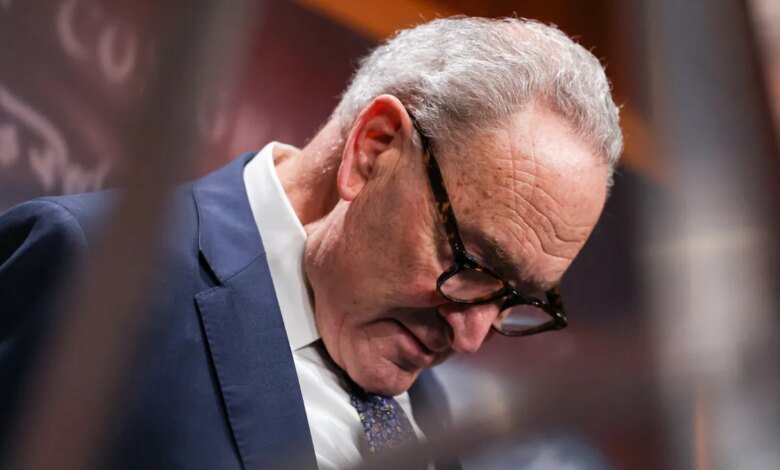 Furious Democrats rip shutdown deal as missing the moment
