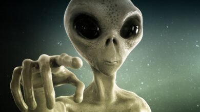 Harvard Prof. Avi Loeb bets that by December 2030 UFO evidence will force NASA and scientists to admit aliens are real