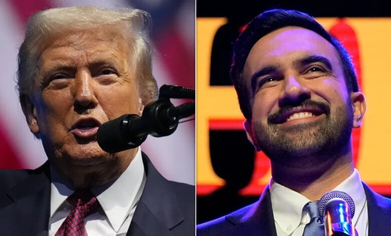 'It's A Very Dangerous Statement': Trump Warns Mamdani About His Victory Speech