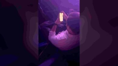 Jonas Brothers concertgoer reviews viral resume