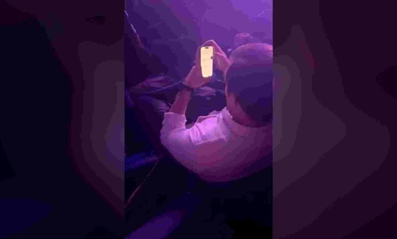 Jonas Brothers concertgoer reviews viral resume
