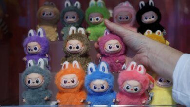 Labubu movie may be in the works at Sony according to reports