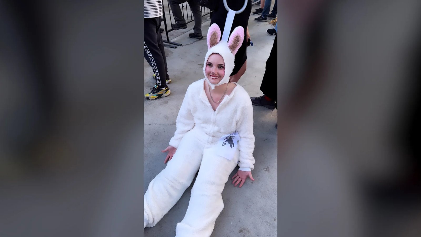 A collection of Labubu art toys displayed on a shelf, showcasing the variety of designs and colors available.