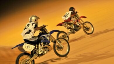 Liwa International Festival 2026: Dates, venue, key events, and full guide to the UAE's biggest desert festival