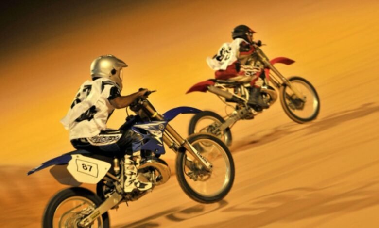 Liwa International Festival 2026: Dates, venue, key events, and full guide to the UAE's biggest desert festival