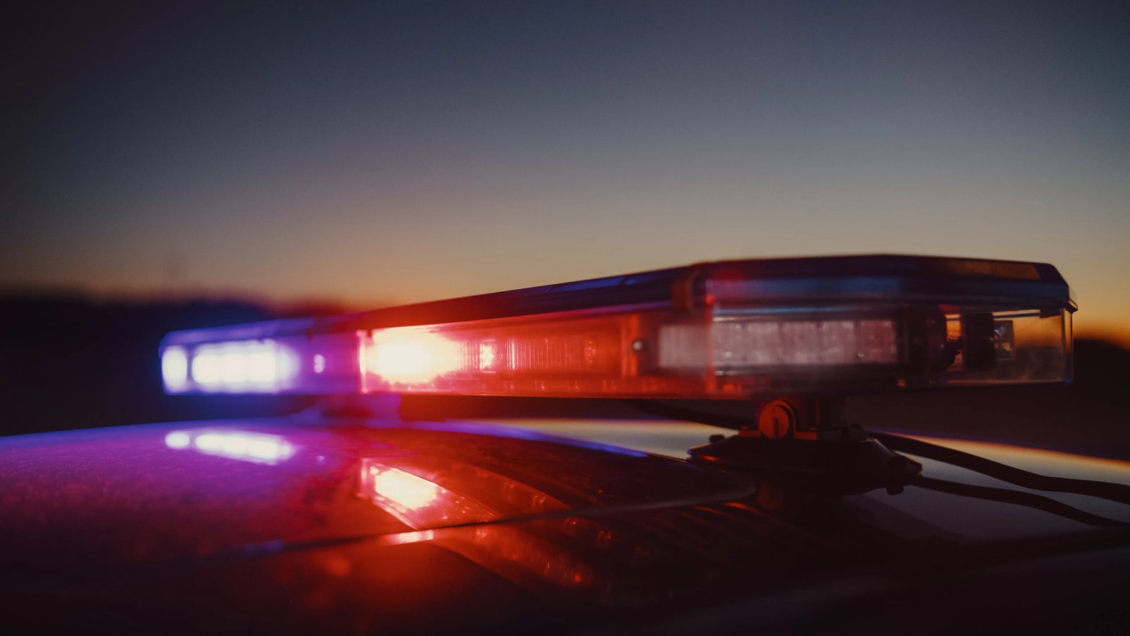 A close-up portrait of Michael Duarte's wife.