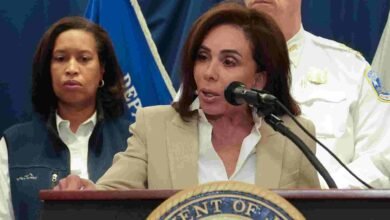 Pirro defends troops in DC after shootingNews