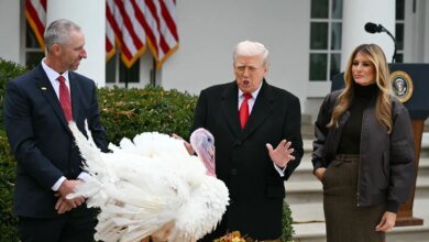 See Gobble and Waddle spared by Trump in turkey pardonPolitics