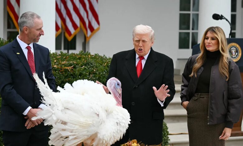 See Gobble and Waddle spared by Trump in turkey pardonPolitics