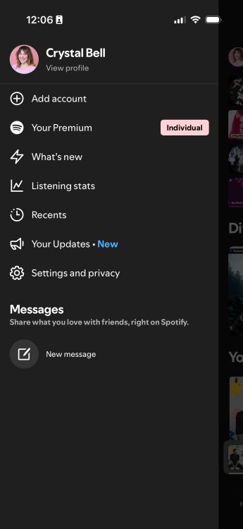 Visual representation of Spotify Listening Stats features