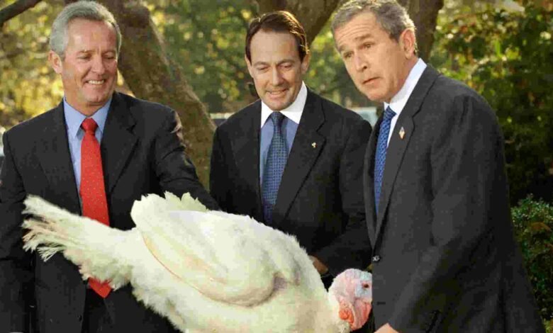The history of turkey pardons, explainedPolitics