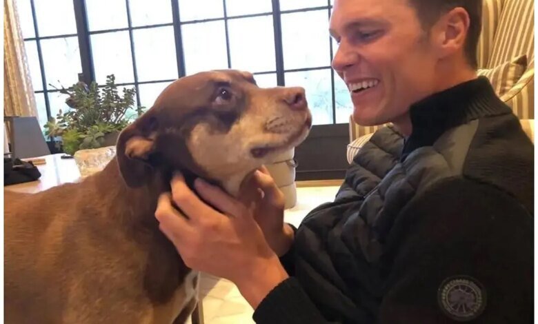 Tom Brady, Barbra Streisand and other celebrities that decided to clone their pets