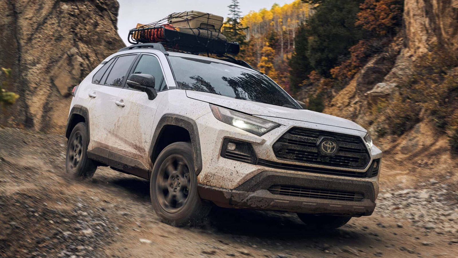 A driver looking at a frozen backup camera display in a Toyota vehicle, highlighting the software glitch recall.
