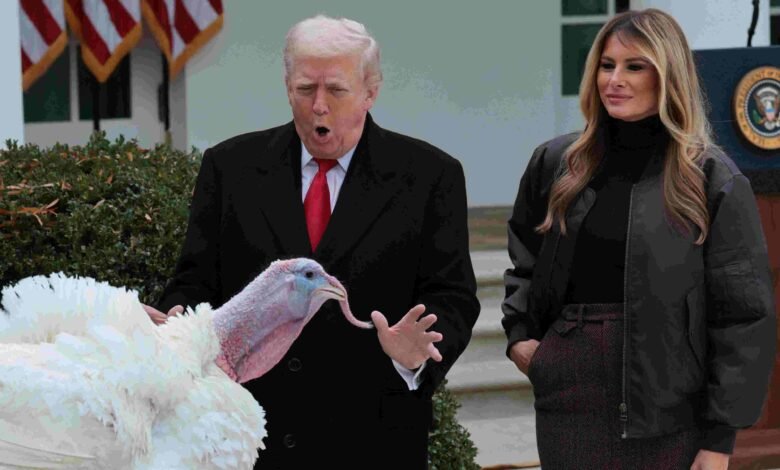 Trump gives out two presidential turkey pardonsNews