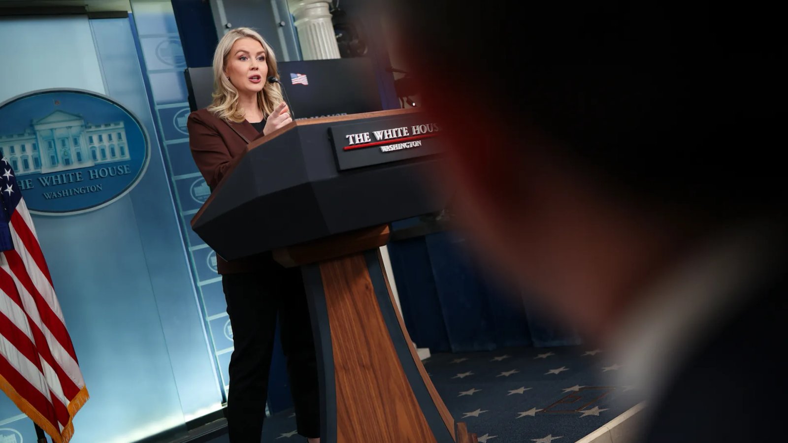 A split image comparing a microphone and a pig.