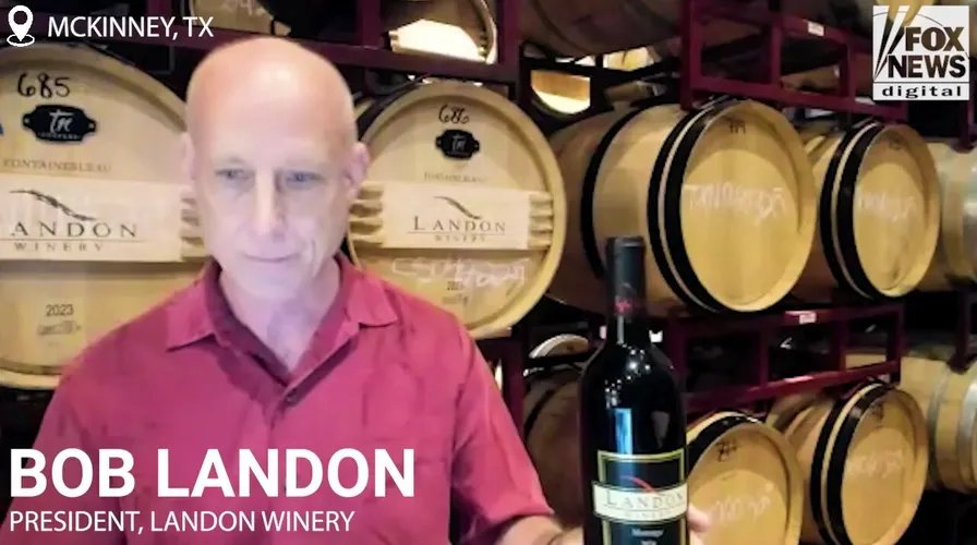 Close-up of ripe grapes on the vine at Sovereign Estate, ready for harvest.