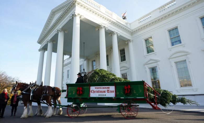 Watch live as Melania Trump welcomes White House Christmas Tree