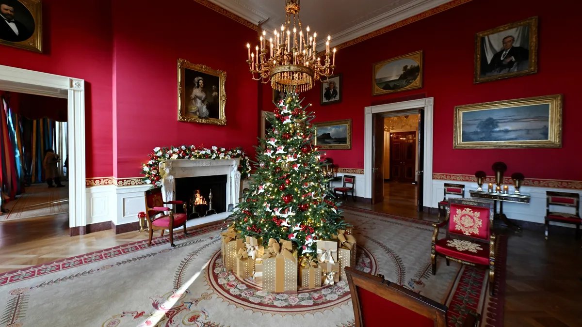 The 2023 White House Christmas tree stands tall in the Blue Room.